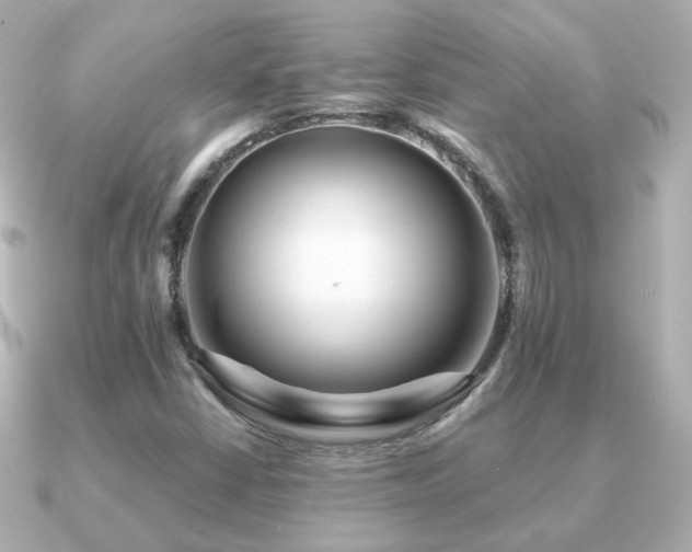 X0000091191402200708091241