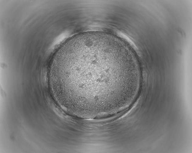 X0000091191403200708091241