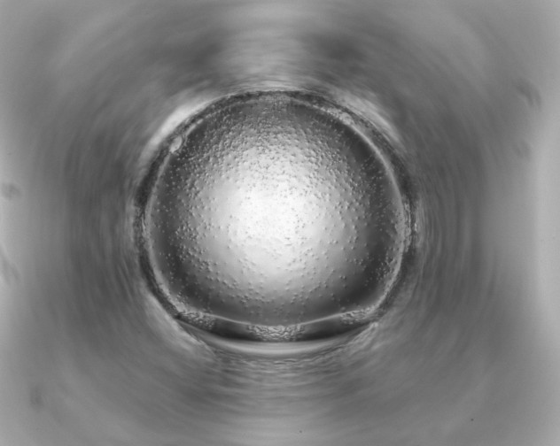 X0000091191404200708091241