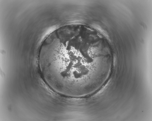X0000091191405200708091241