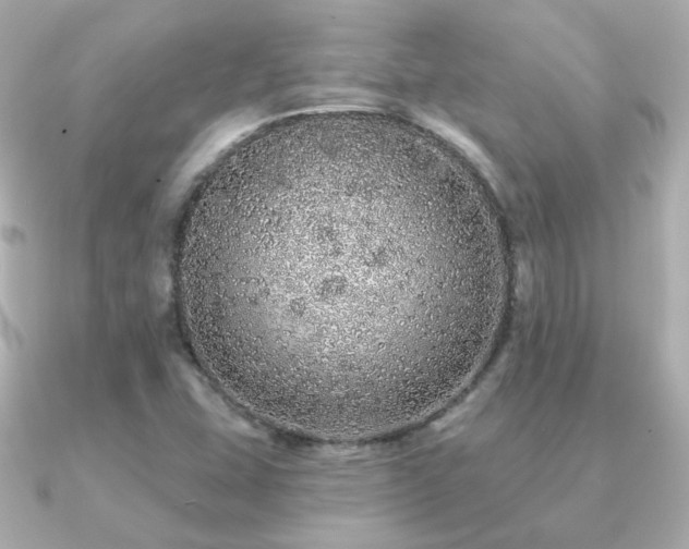 X0000091191407200708091241