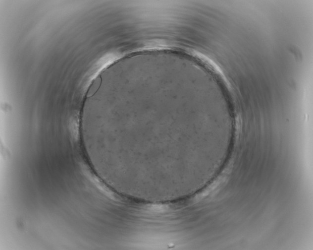 X0000091191409200708091241