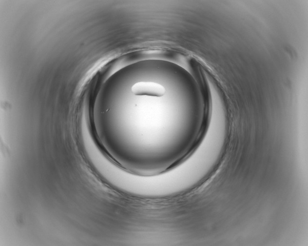 X0000091191410200708091241