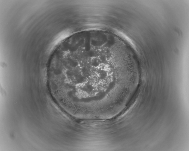 X0000091191411200708091241