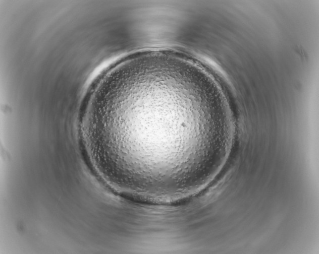 X0000091191412200708091241