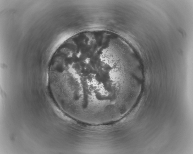 X0000091191413200708091241