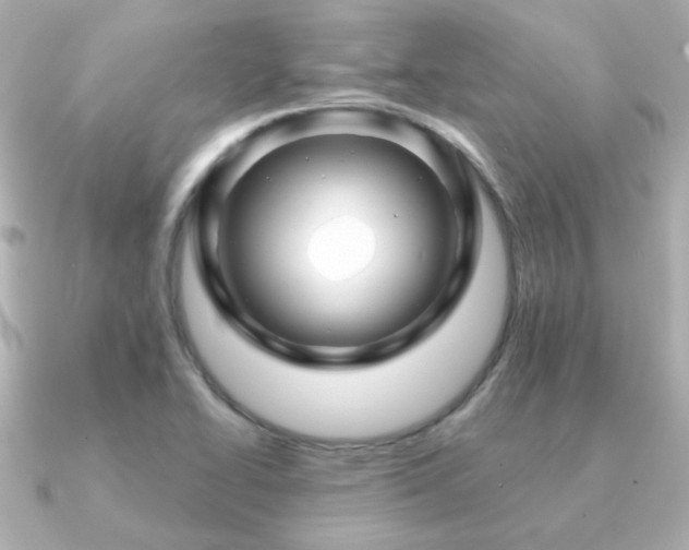 X0000091191414200708091241