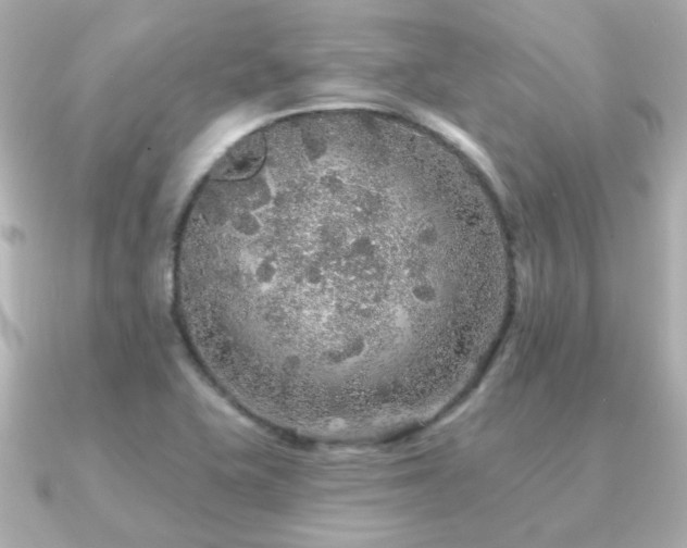 X0000091191415200708091241