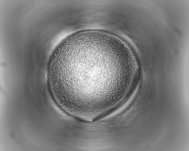 X0000091191416200708091241