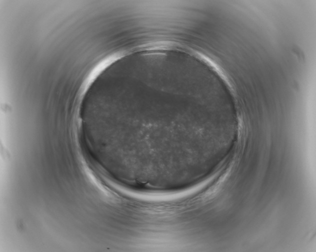 X0000091191418200708091241