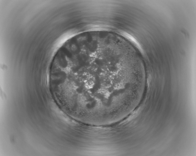 X0000091191419200708091241