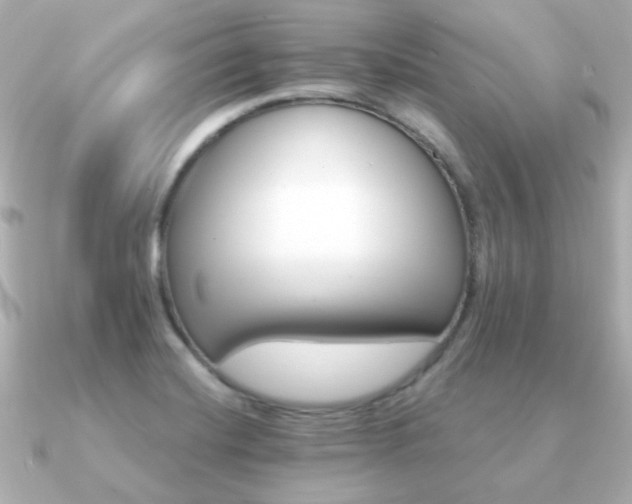 X0000091191420200708091241