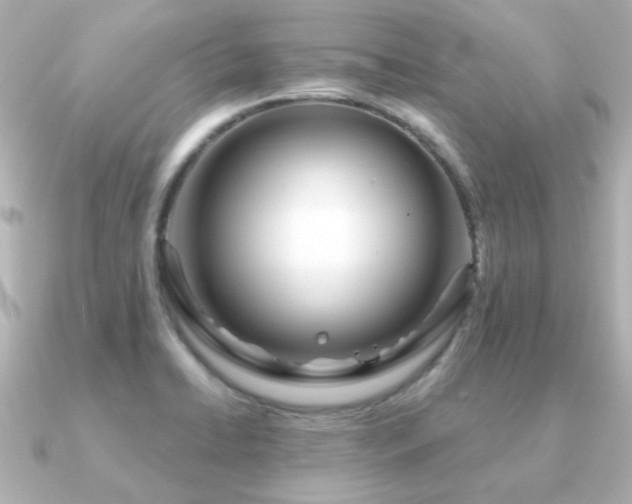 X0000091191422200708091241