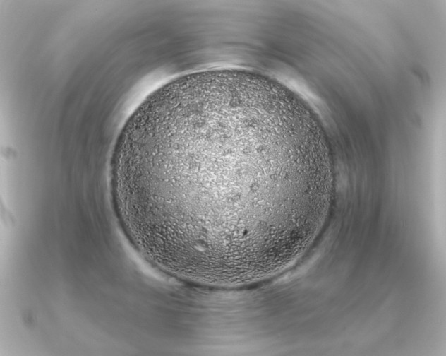 X0000091191423200708091241