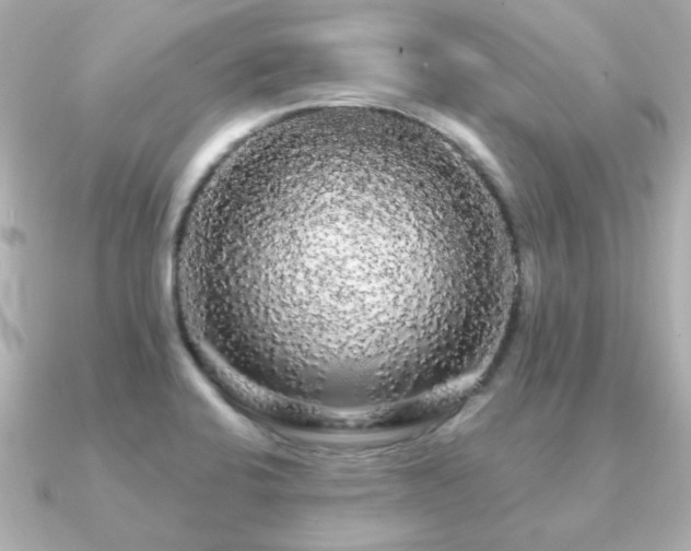 X0000091191424200708091241