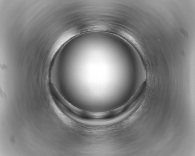 X0000091191426200708091241
