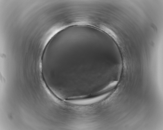 X0000091191428200708091241