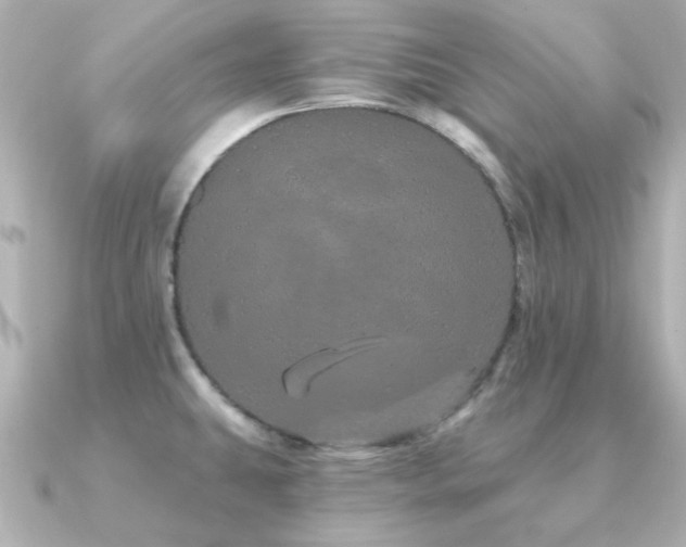X0000091191431200708091241