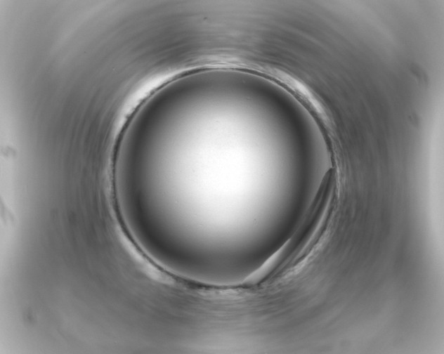 X0000091191432200708091241