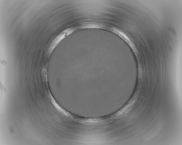 X0000091191433200708091241