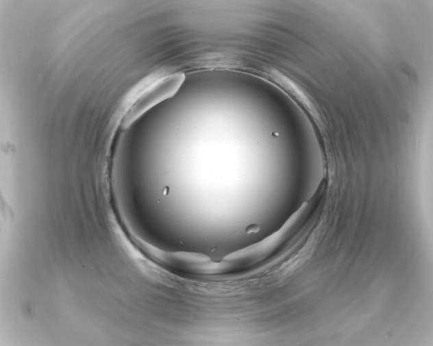 X0000091191434200708091241
