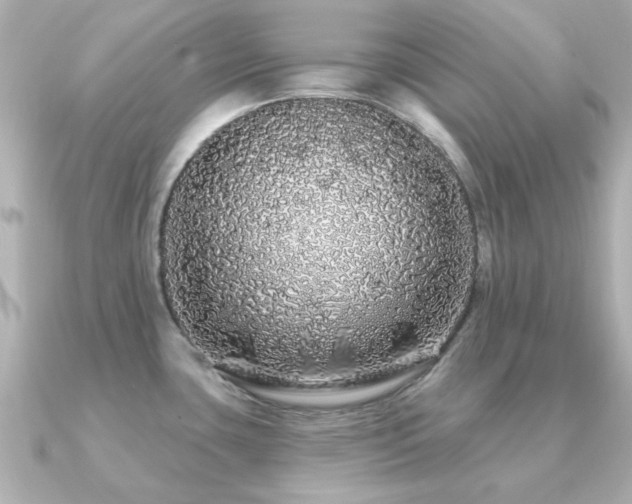 X0000091191435200708091241