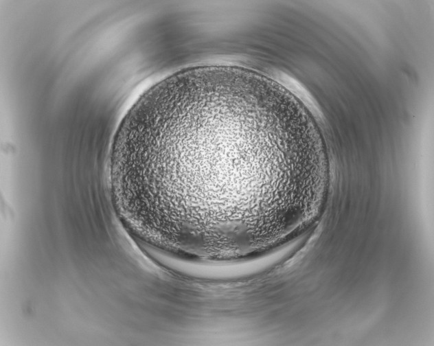 X0000091191436200708091241