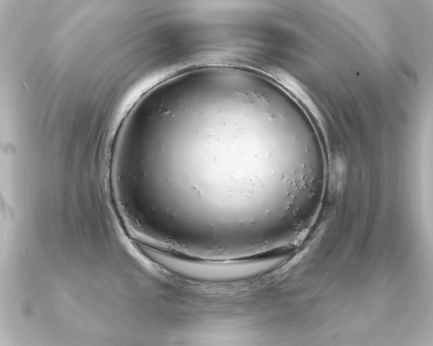 X0000091191437200708091241