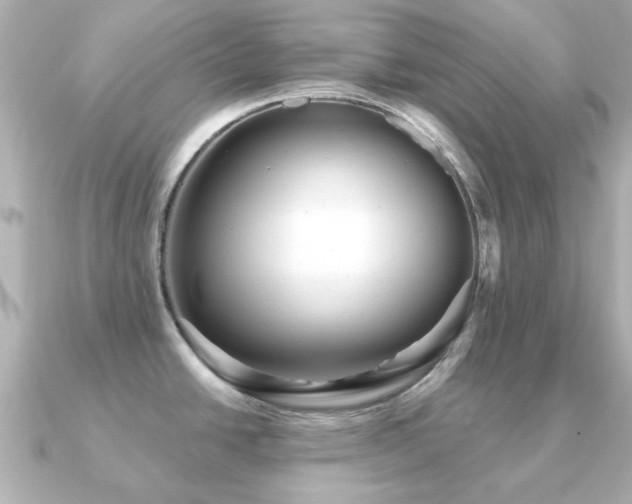 X0000091191438200708091241
