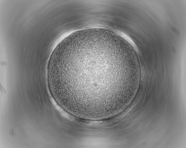 X0000091191439200708091241