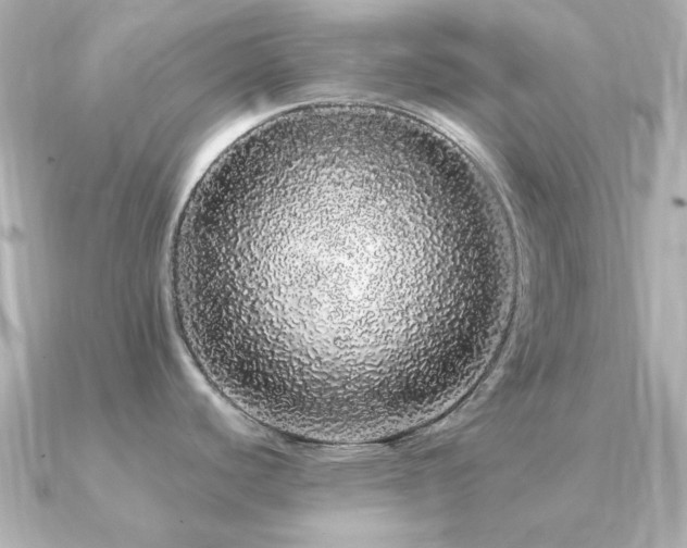 X0000091191440200708091241