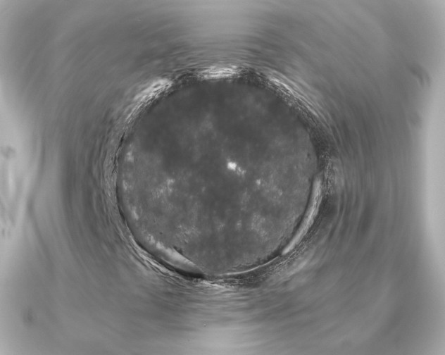 X0000091191441200708091241