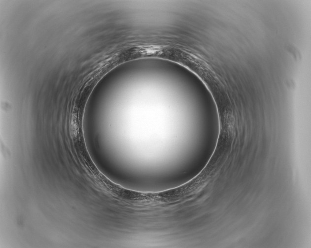 X0000091191442200708091241