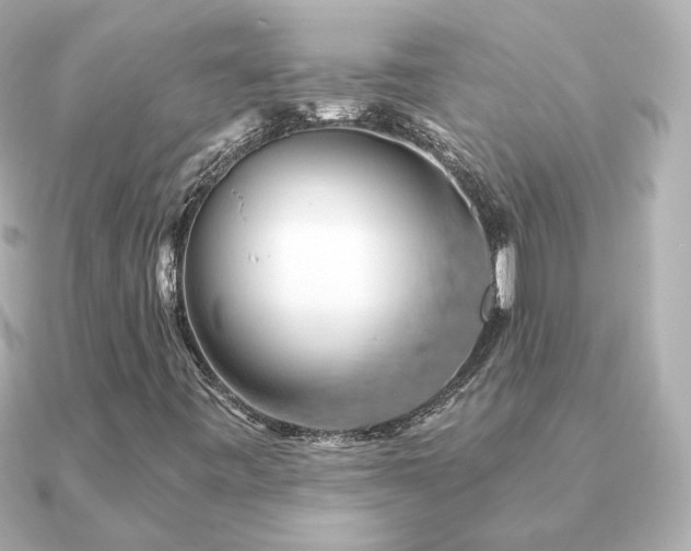 X0000091191443200708091241