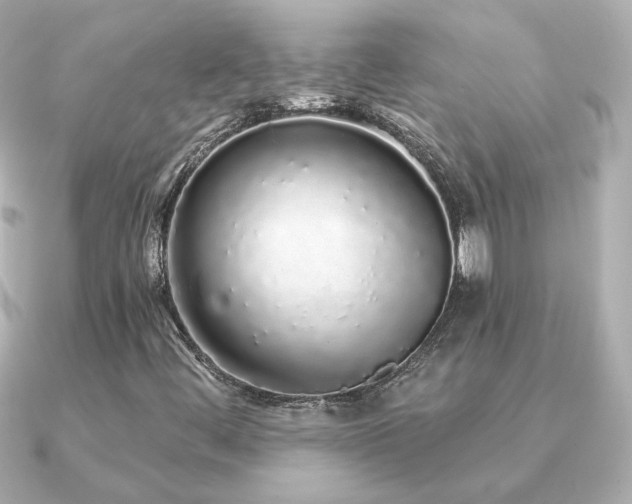 X0000091191444200708091241