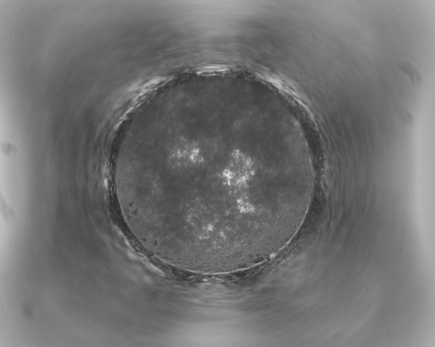 X0000091191445200708091241