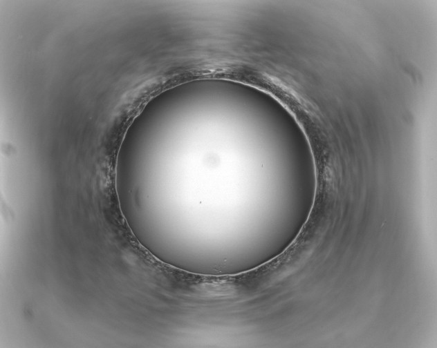 X0000091191447200708091241