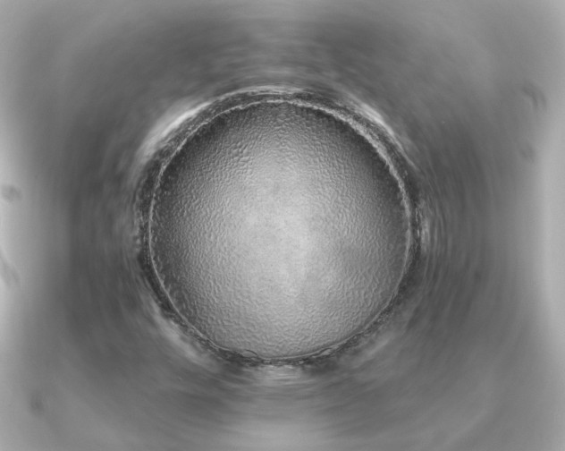 X0000091191448200708091241