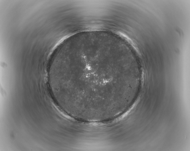 X0000091191449200708091241