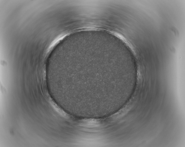 X0000091191450200708091241