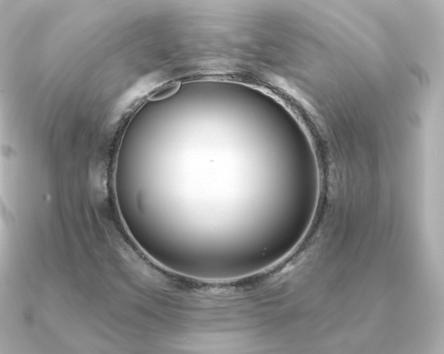 X0000091191451200708091241