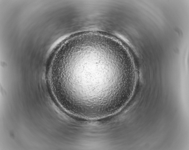 X0000091191452200708091241
