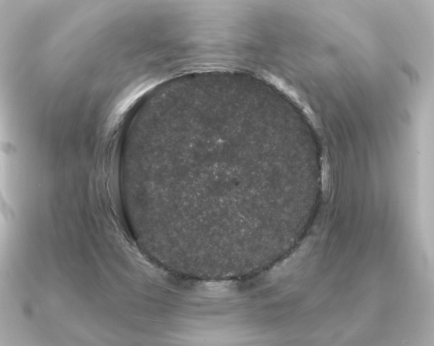 X0000091191453200708091241
