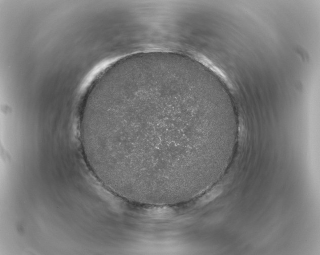 X0000091191454200708091241