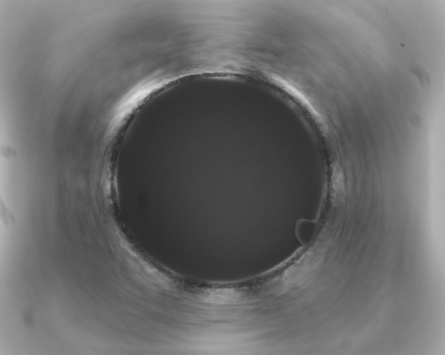 X0000091191455200708091241
