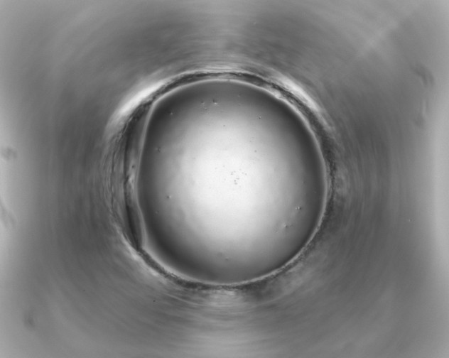 X0000091191456200708091241