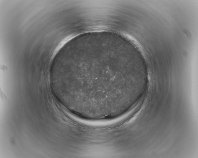 X0000091191457200708091241