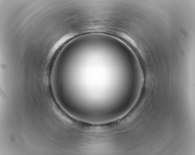 X0000091191458200708091241