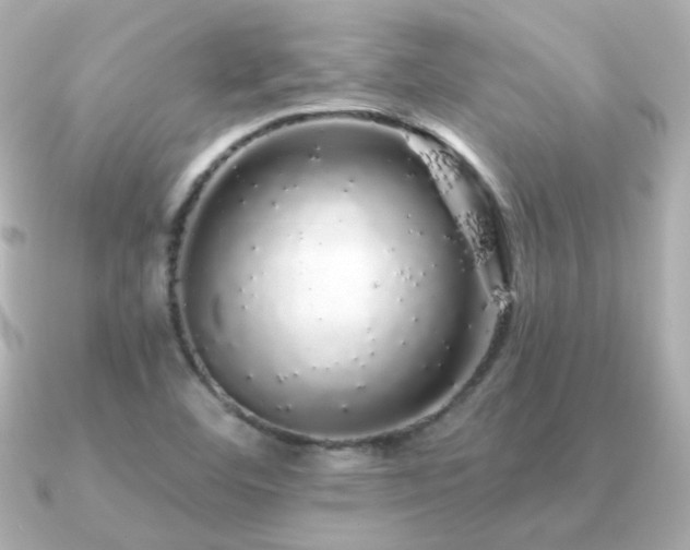 X0000091191460200708091241