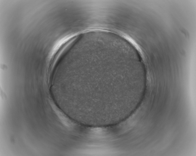 X0000091191461200708091241